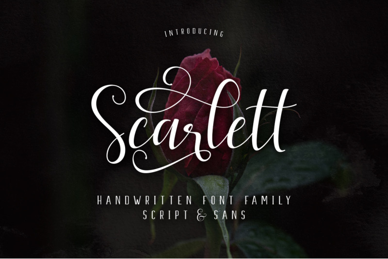 Promo Week Scarlett Font Family By Ijemrockart Thehungryjpeg Com