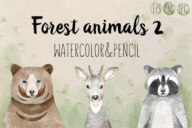 Hate animals. Forest animals Watercolor.