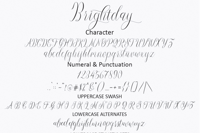 Brightday Script By Cooldesignlab Thehungryjpeg Com