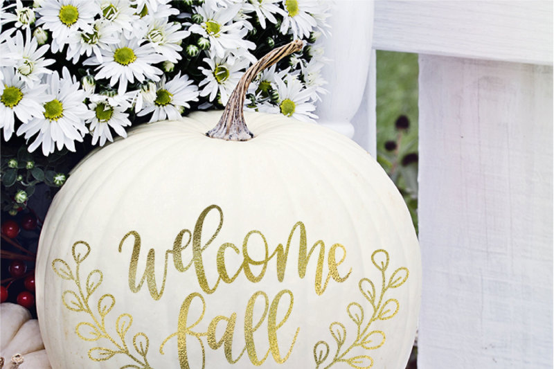 Welcome Fall Hand Lettered Svg By Rosemary Designs Thehungryjpeg Com