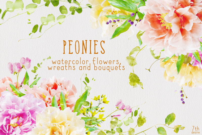 Watercolor Flowers - Peonies By The Seventh Desire | TheHungryJPEG