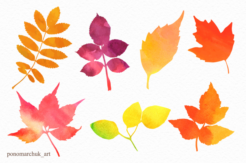 Autumn leaves, vector By ColibriWatercolor | TheHungryJPEG.com