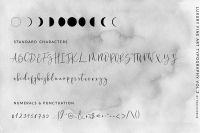Wild Moon Casual Script Font By Peachcreme Thehungryjpeg Com