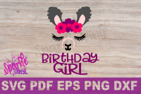 Download Llama Party Llama Birthday Llama Face Svg Girl Llama Svg Llama F By Sparkle Vinyl Designs Thehungryjpeg Com