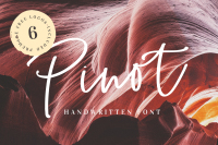 Pinot Handwritten Font Logos By Vladcristea Thehungryjpeg Com