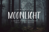 Moonlight Brush Font By Chocotype Thehungryjpeg Com