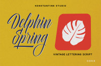 Delphin Spring Vintage Script By Konstantine Studio Thehungryjpeg Com
