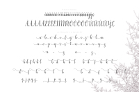 Mezabetto Elegant Script Font By Kang1993 Thehungryjpeg Com