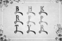 Download Delayne - Vintage Typeface Font Family From Vintage Font Lab