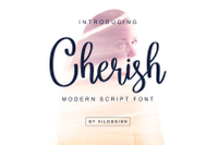 Cherish Modern Script Font By Vilogsign Thehungryjpeg Com