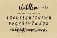 Wildlove Script Font By Cruzine Design Thehungryjpeg Com