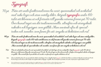 Fairlady A Chunky Script Font By Studio Indigo Thehungryjpeg Com