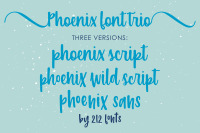 Phoenix Script Font Trio 2 Script Fonts Sans Serif And Bonus Dingbat By 212 Fonts Thehungryjpeg Com