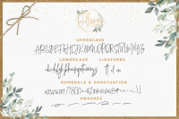 Bellissima Signature Script Font By Layer Form Thehungryjpeg Com