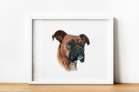 Boxer dog. Watercolor dogs illustrations. Cute 6 dogs. By Susik