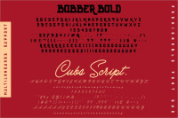 Bobber Bold Cubs Script Font Duo By Inumocca Thehungryjpeg Com