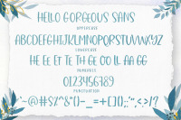 Hello Georgeous Script Font Trio By Zane Studio Thehungryjpeg Com