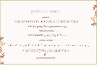 Butterfly Script By Shape Studio Thehungryjpeg Com