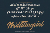 Haredang Bold Script Font By Stringlabs Thehungryjpeg Com