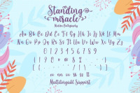 Standing Miracle Script By Din Studio Thehungryjpeg Com