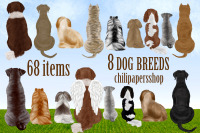 Download Dog Breeds Clipart Dogs Clip Art Pets Illustrations Puppies By Chilipapers Thehungryjpeg Com