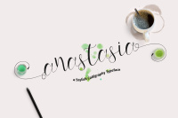 Anastasia Stylish Calligraphy Script By Antimainstype Std Thehungryjpeg Com