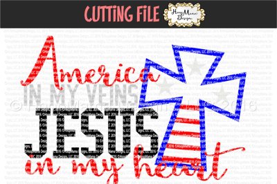 America in my veins Jesus in my heart