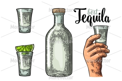 BIG BUNDLE - Illustration, pattern and posters Tequila with engraving. 