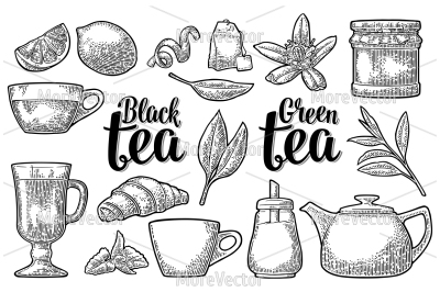 Set tea with lettering.  . Vector vintage engraving