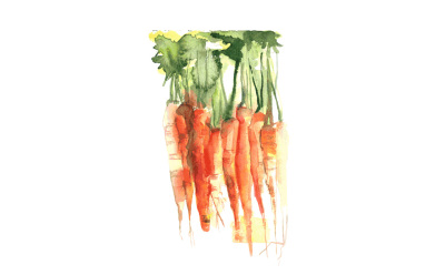 carrot-watercolor