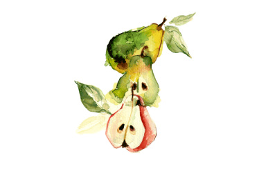 Pear-watercolor