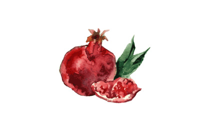 Pomegranate-watercolor