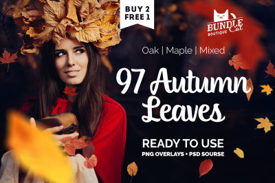 97 Autumn Leaves Photo Overlays