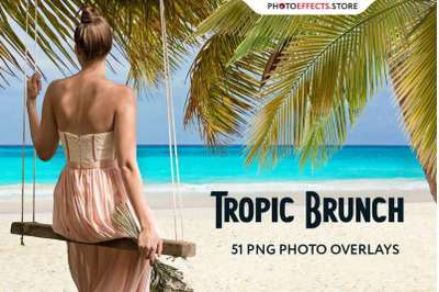 51 Tropic Tree Branch Photo overlays