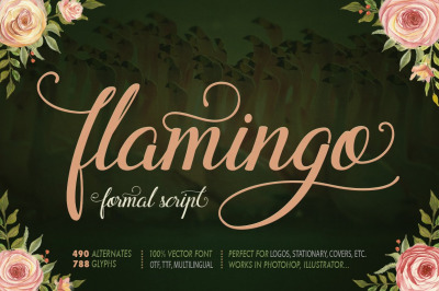 Flamingo - formal script