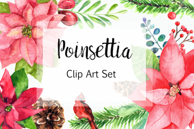 Watercolor Poinsettia Clip Art Set
