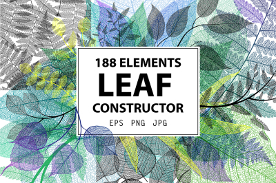 Leaf Constructor. Realistic drawn leaves collection.