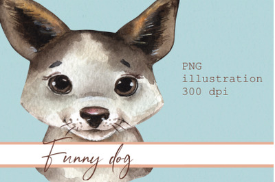 Funny dog, png