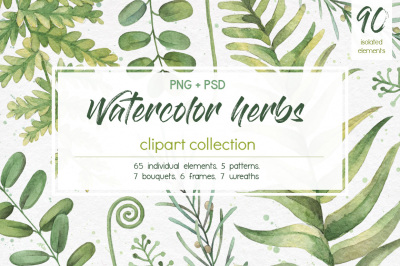 Watercolor herbs. Clipart collection