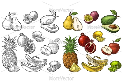 Set fruits.Vector color and black hand drawn vintage engraving 