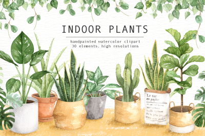 Indoor Plants Watercolor Clipart