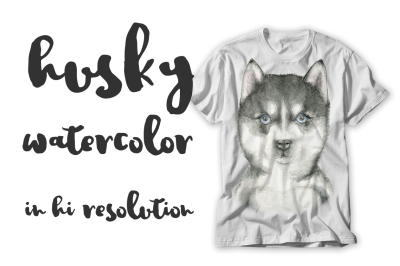 Husky watercolor