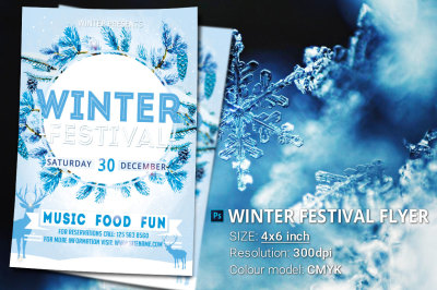 Winter Festival Flyer