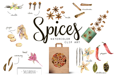 Spices. Watercolor clip art.