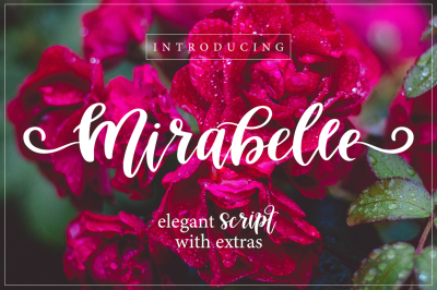 Mirabelle Script Font with Extras!