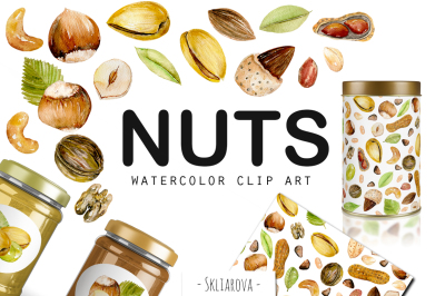 Nuts. Watercolor clip art.