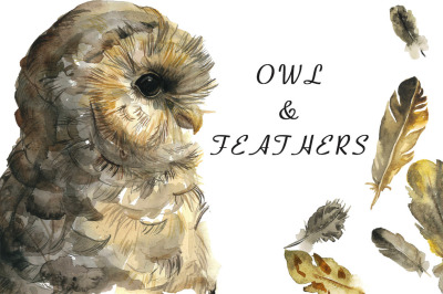 Owl and feathers watercolor set