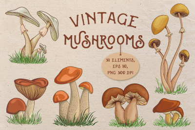 Vintage mushrooms set