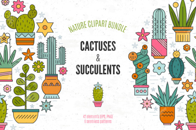 Succulent Clipart & Patterns Bundle