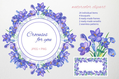 Crocuses for you.Watercolor clipart.
